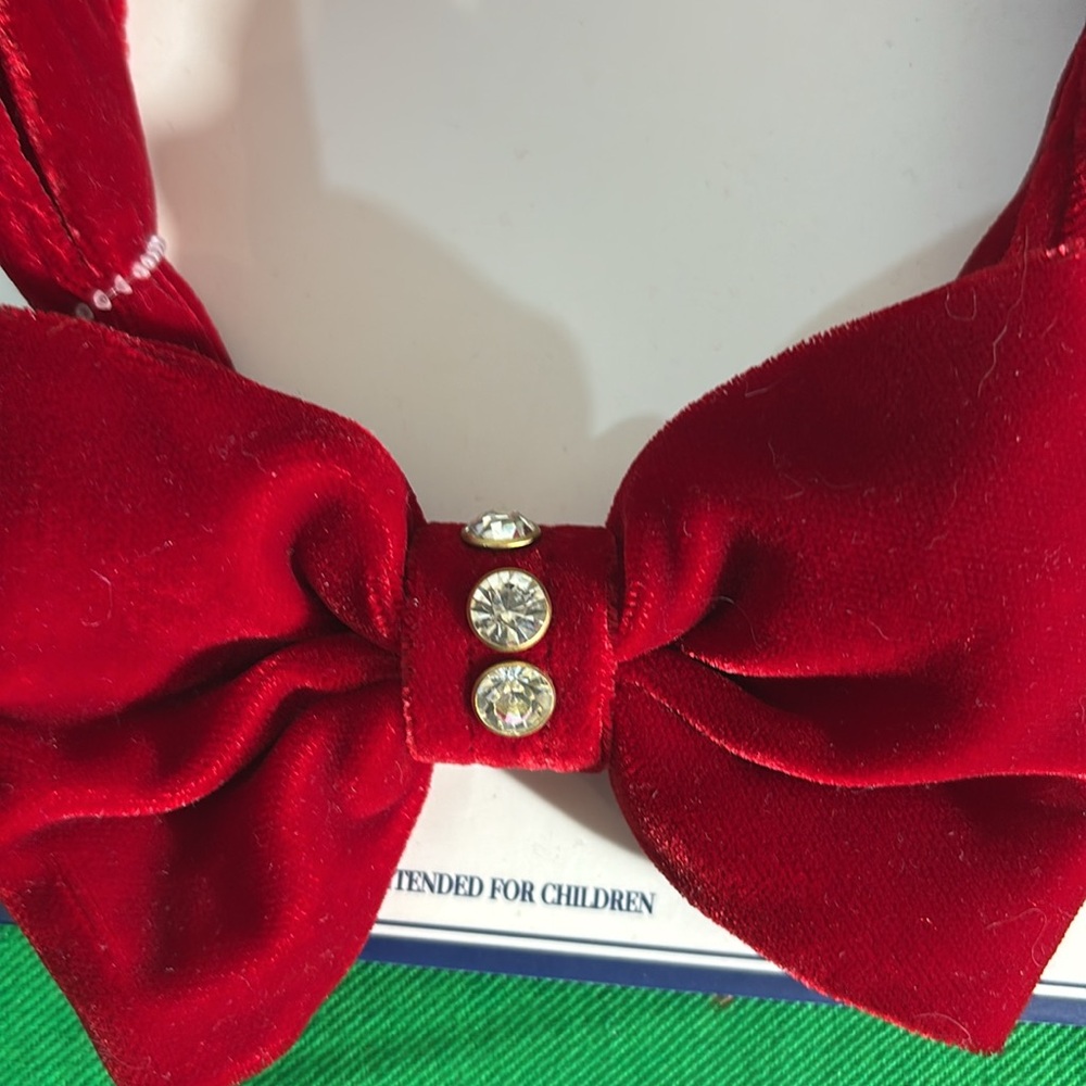New! Red Velvet Headband and matching red velvet pet collar bow